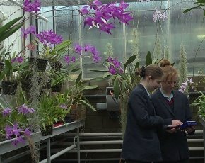 Writhlington School greenhouse.jpg